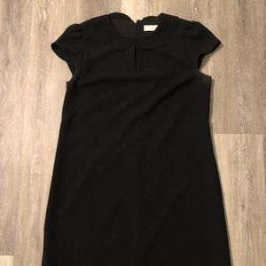Loft Peter Pan collar dress